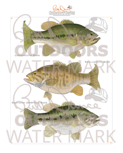 LIMITED EDITION "Three Bass" Autographed Print (16x20)